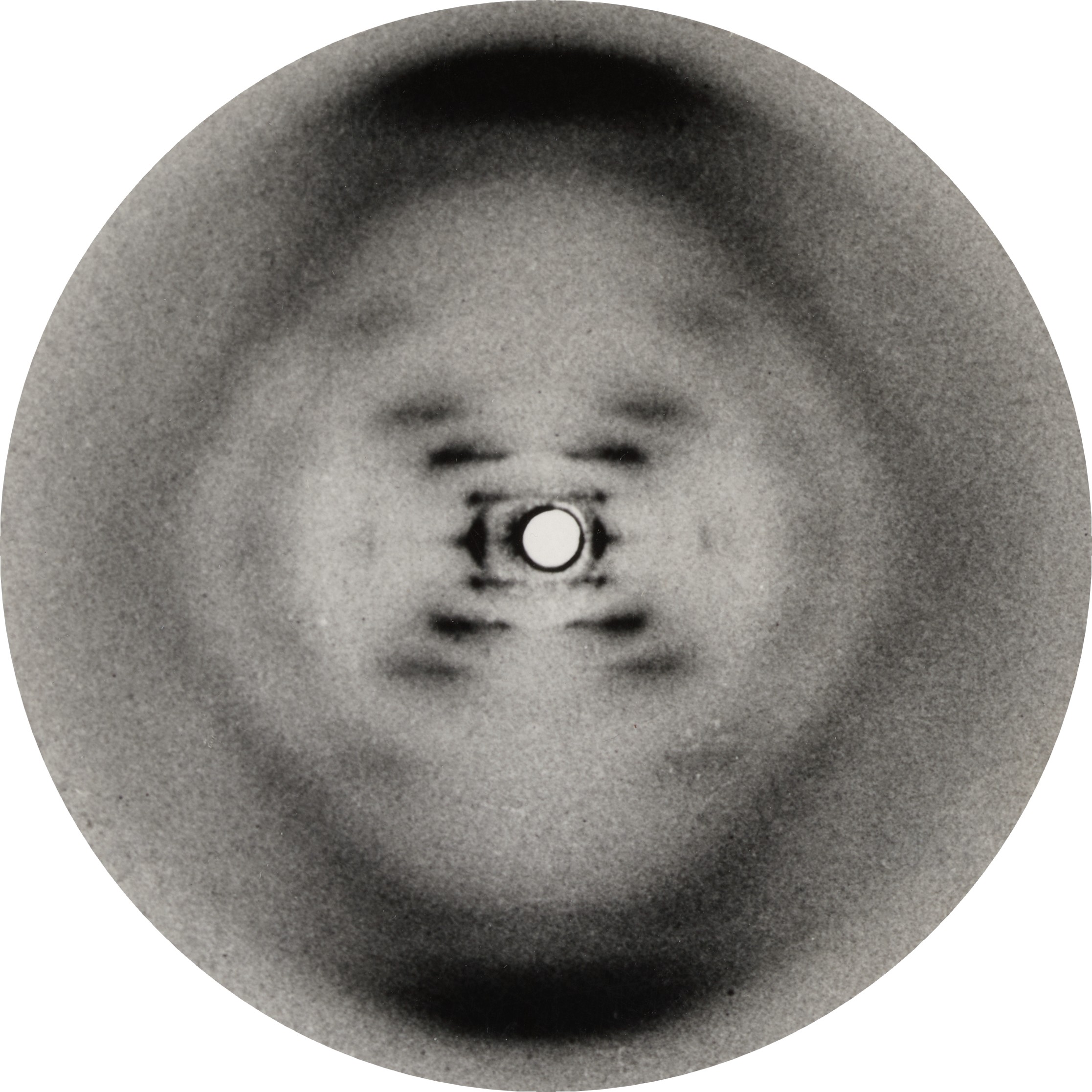 Rosalind Franklin: ukradli jí výzkum a dostali za něj nobelovku